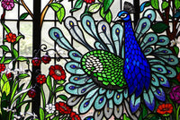 Radiant Plumage: Stained Glass Puzzle