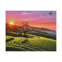 Golden Hour Rice Terraces