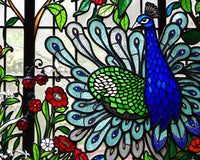Radiant Plumage: Stained Glass Puzzle