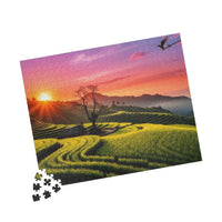 Golden Hour Rice Terraces