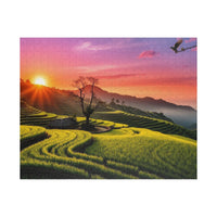 Golden Hour Rice Terraces